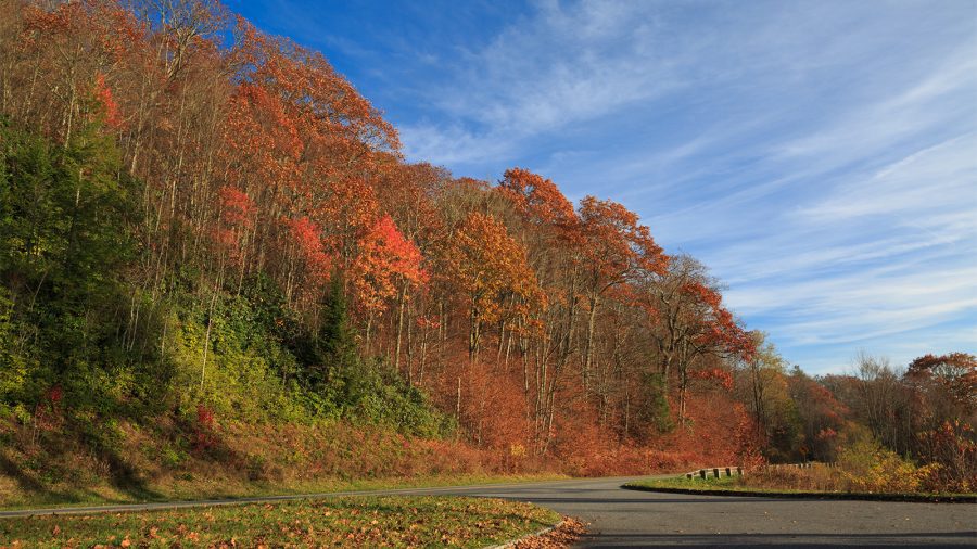 Fall Colors at Great Smoky Mountains National Park