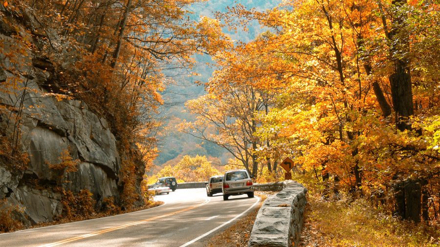 Scenic Drive at Great Smoky Mountains National Park