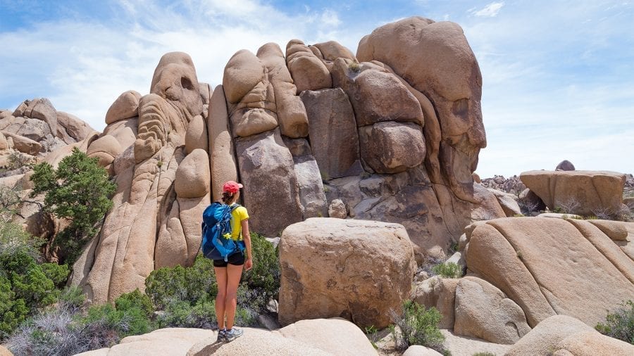 Best Things to Do at Joshua Tree National Park