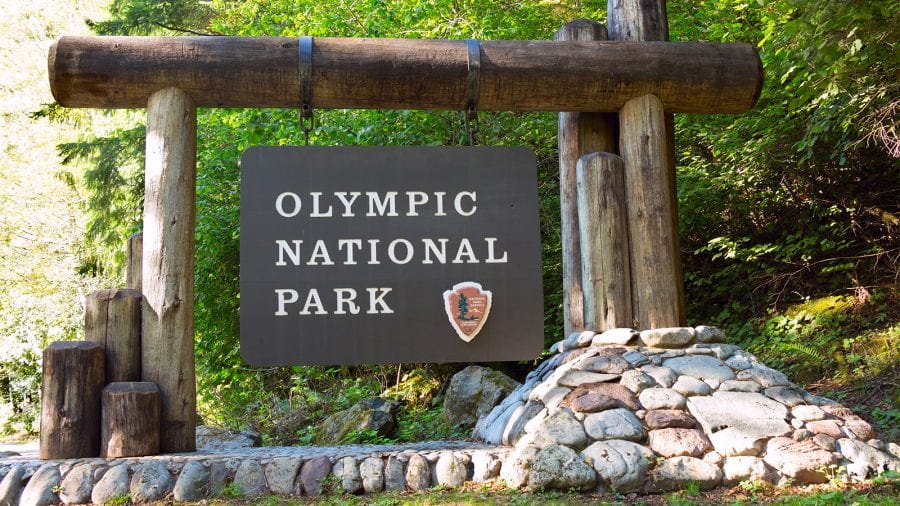 Olympic National Park - Guide