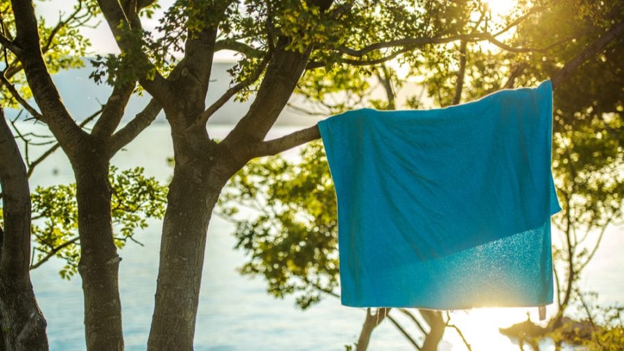 wet towel hanging on a tree during a summer vacation