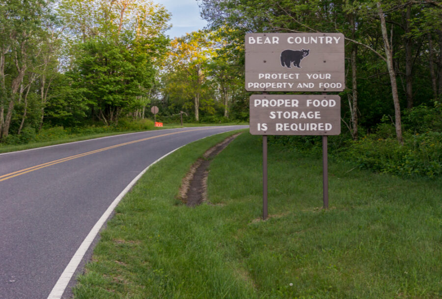 bear country warning for proper food storage