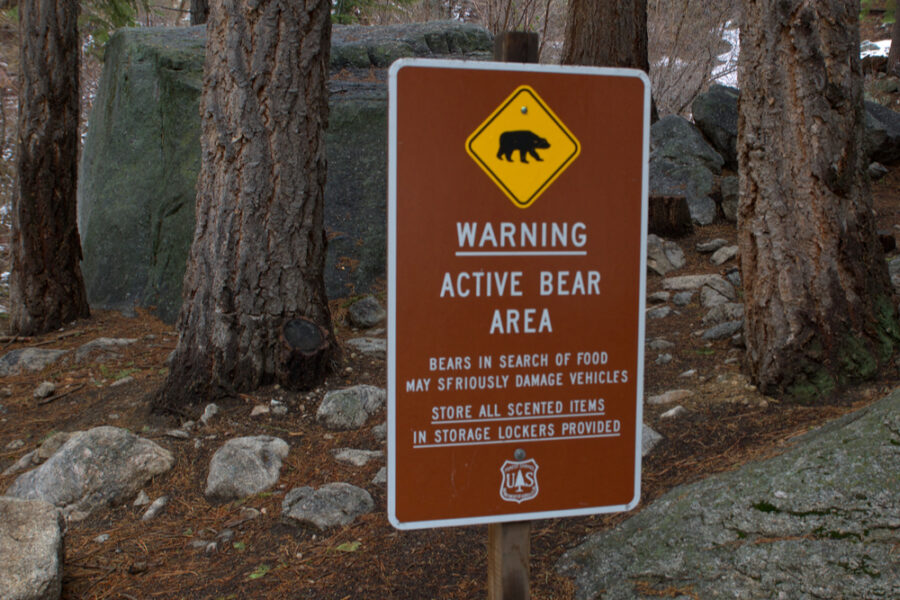 bear warning sign saying active bears are roaming in the area