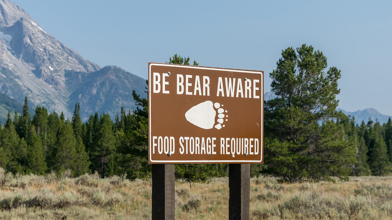 Be Bear Aware​ 1
