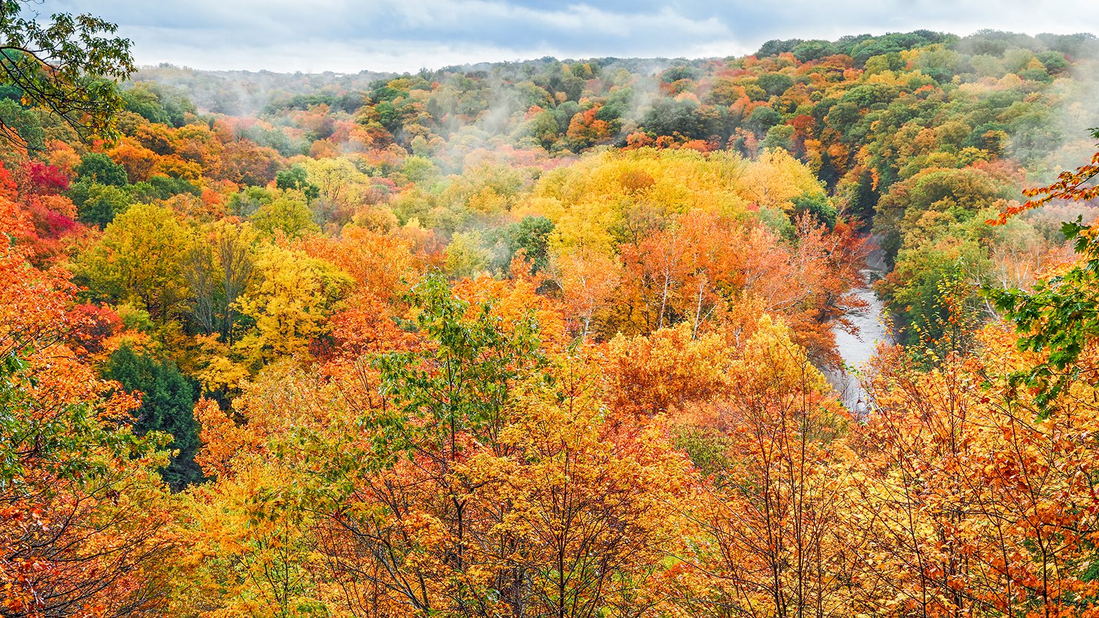 Cuyahoga Valley National Park Fall 1