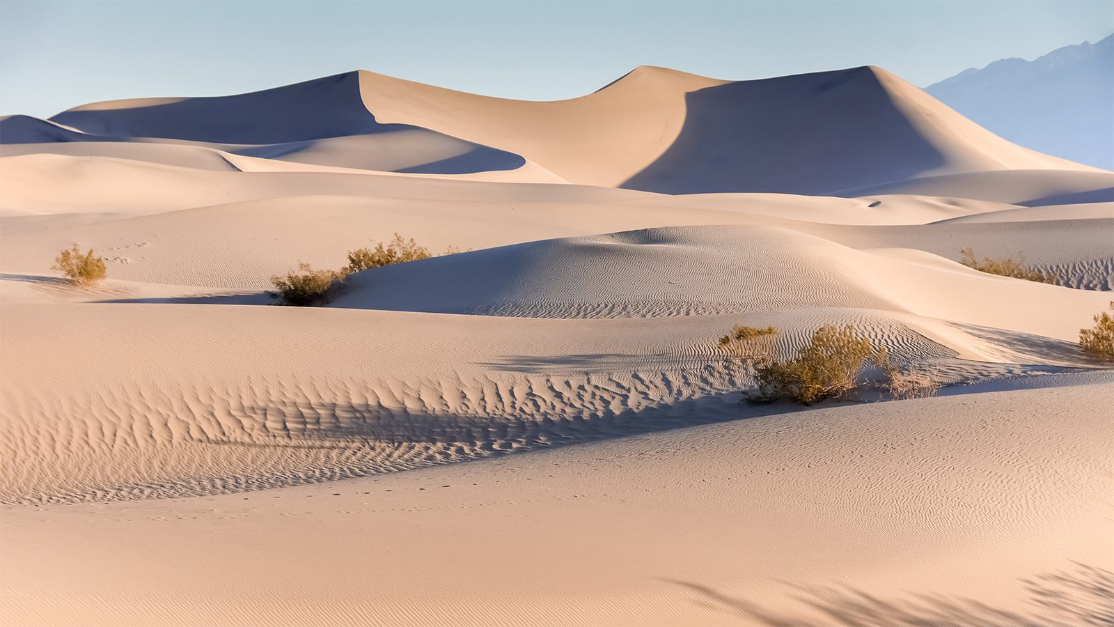 Death Valley National Park Mesquite Flat Sand Dunes 1