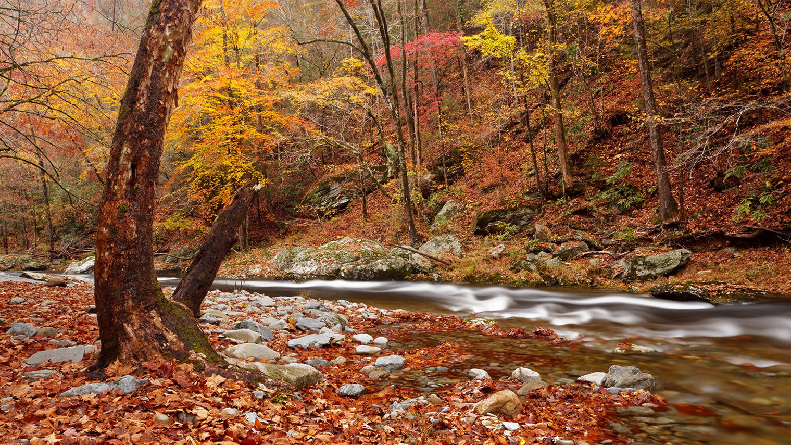 Great Smoky Mountains National Park Best Time to Visit 1