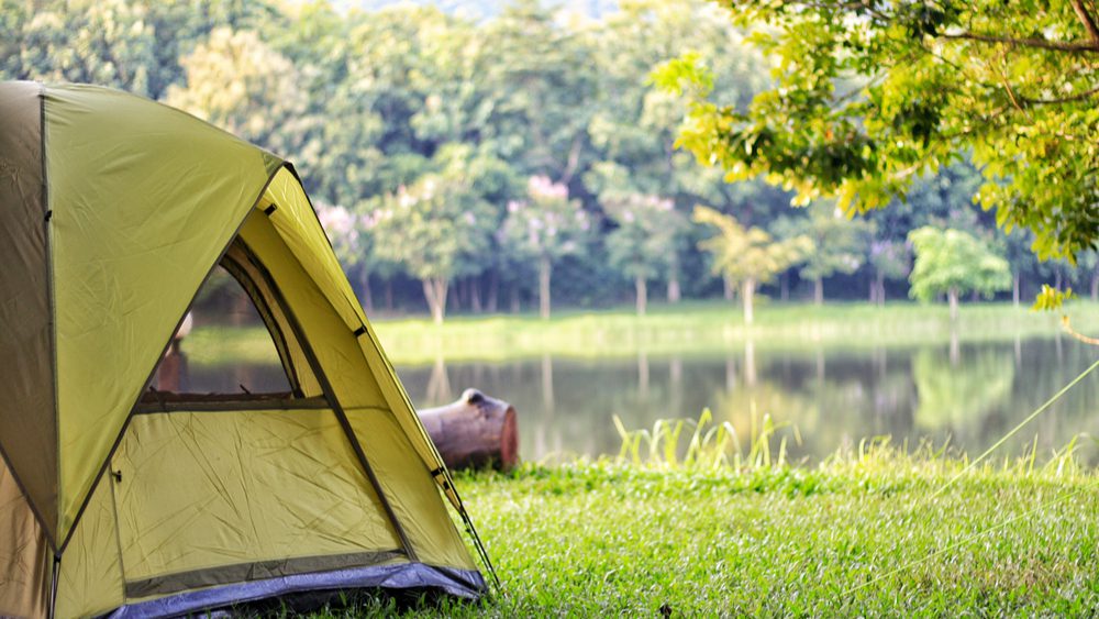 Green Camping Tent in Forest 1