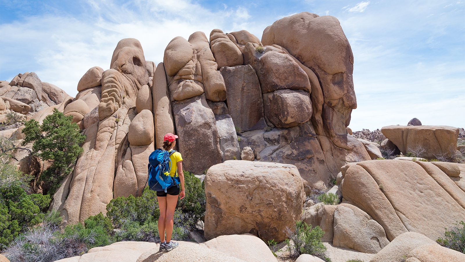 Joshua Tree National Park Best Things to Do 1