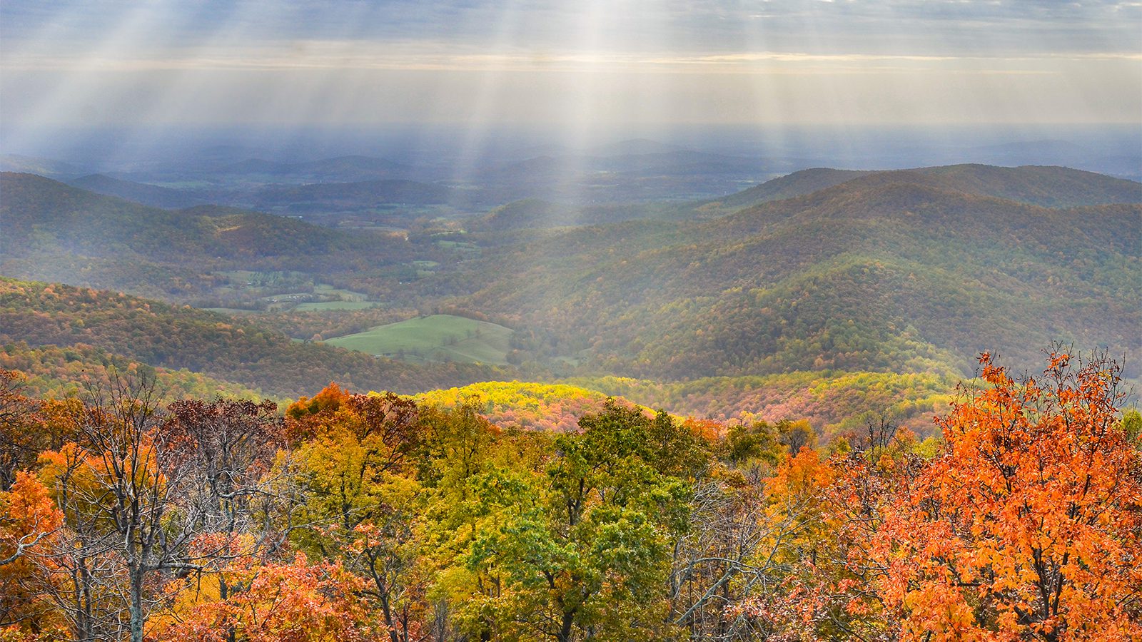 Shenandoah National Park Best Things to Do 1