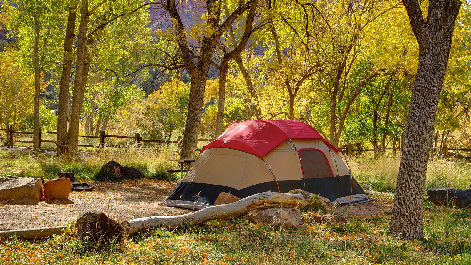 Zion National Park Camping Guide 1